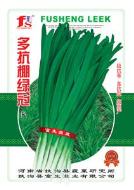 韭菜新品种-多抗棚绿冠